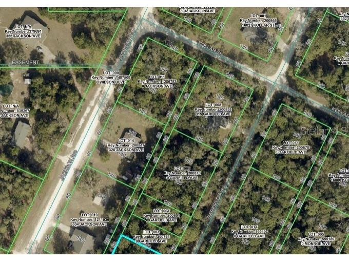 0 Jackson Avenue Brooksville FL 34604 TB8522675 image22
