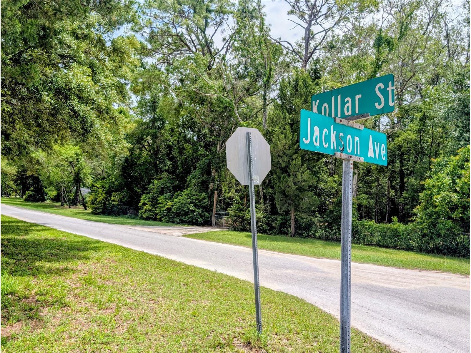 0 Jackson Avenue Brooksville FL 34604 TB8522675 image3