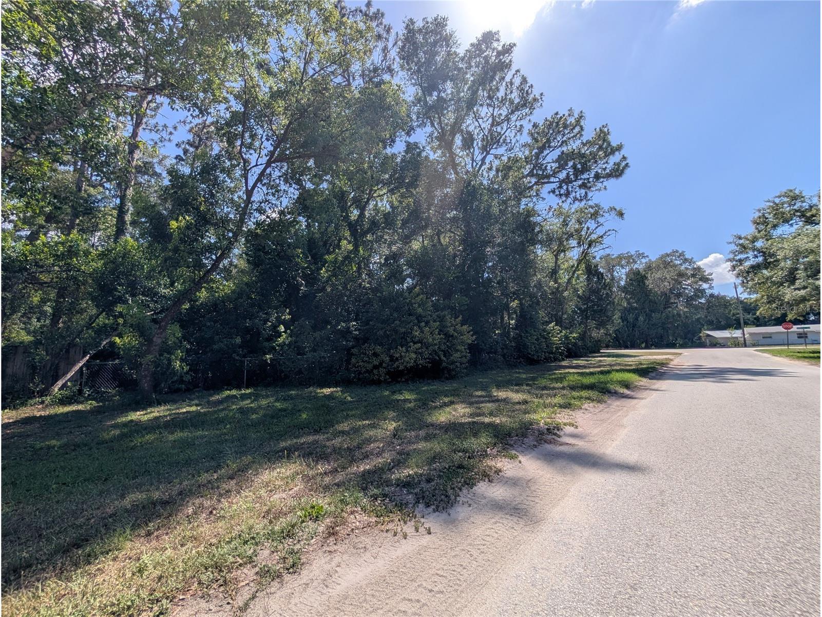 0 Jackson Avenue Brooksville FL 34604 TB8522675 image4