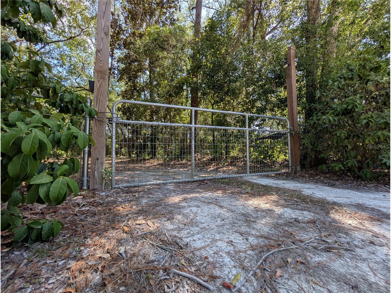 0 Jackson Avenue Brooksville FL 34604 TB8522675 image5