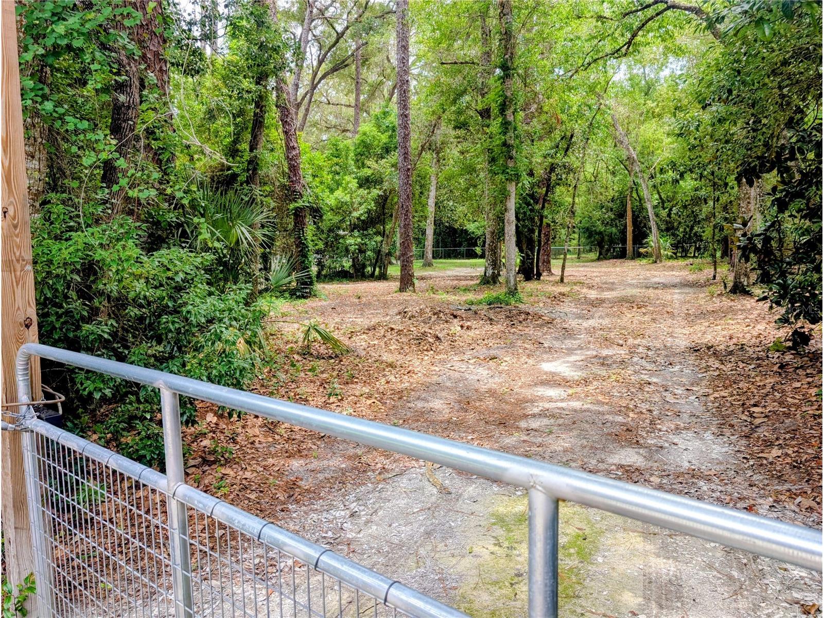 0 Jackson Avenue Brooksville FL 34604 TB8522675 image6