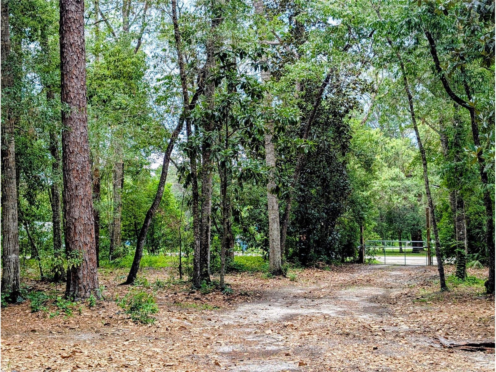 0 Jackson Avenue Brooksville FL 34604 TB8522675 image8