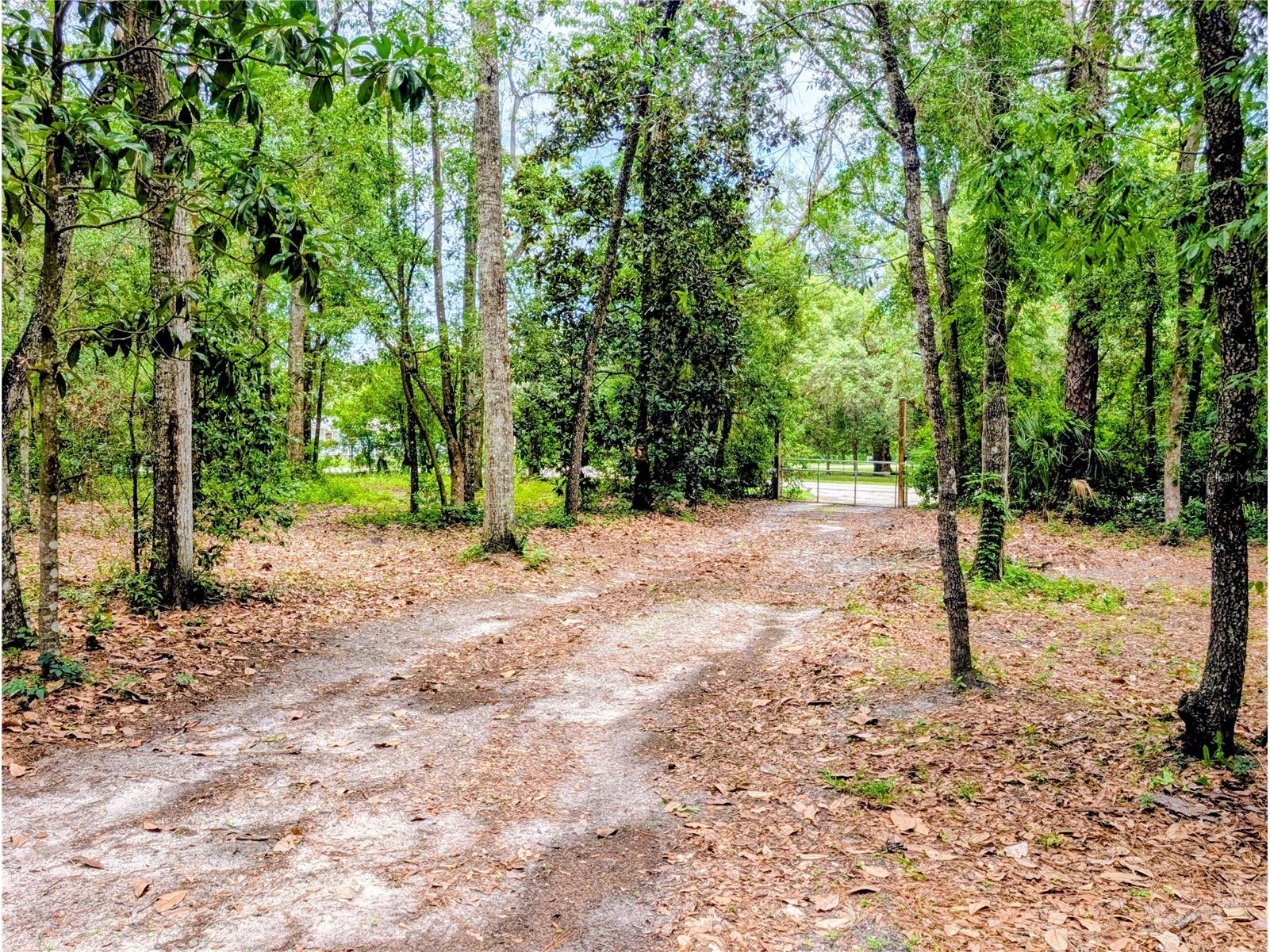 0 Jackson Avenue Brooksville FL 34604 TB8522675 image9