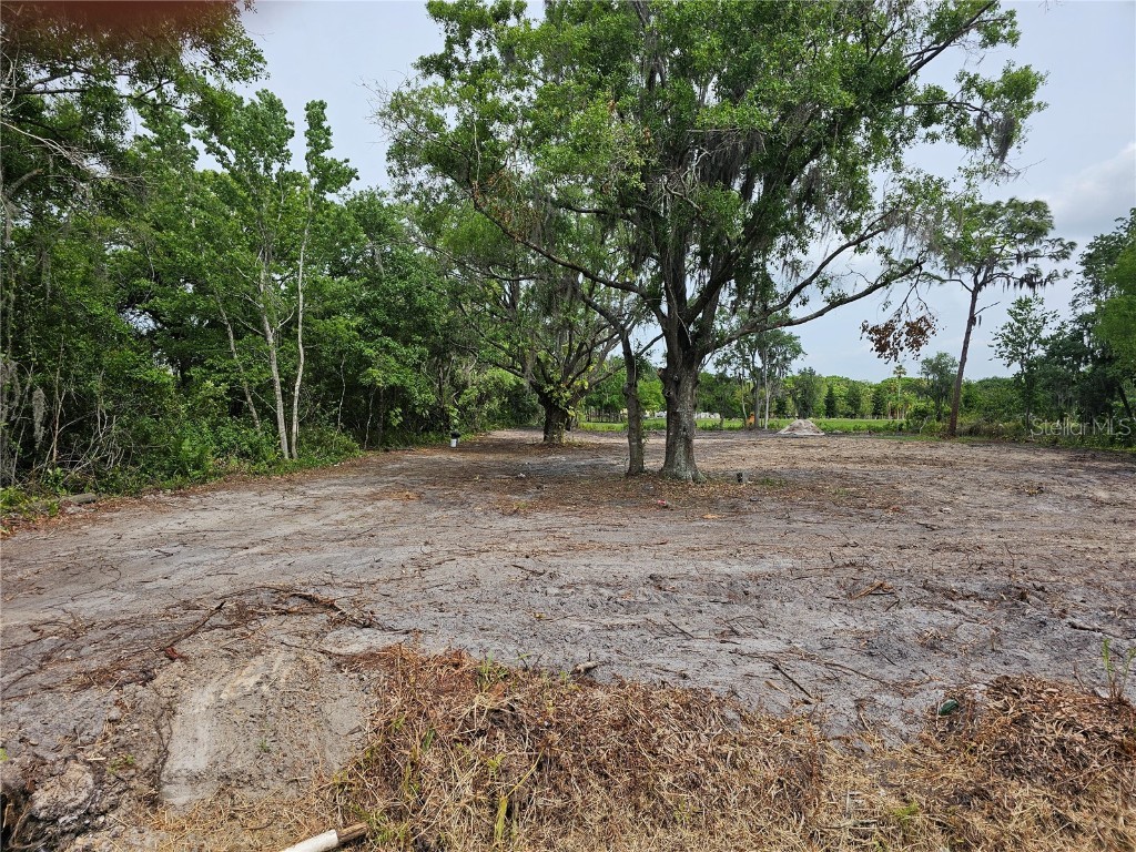 0 Janes Drive Wimauma FL 33598 T3514718 image1