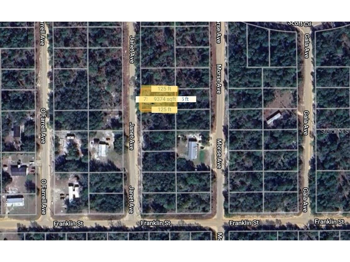 0 Janet Avenue Interlachen FL 32148 O6358255 image1
