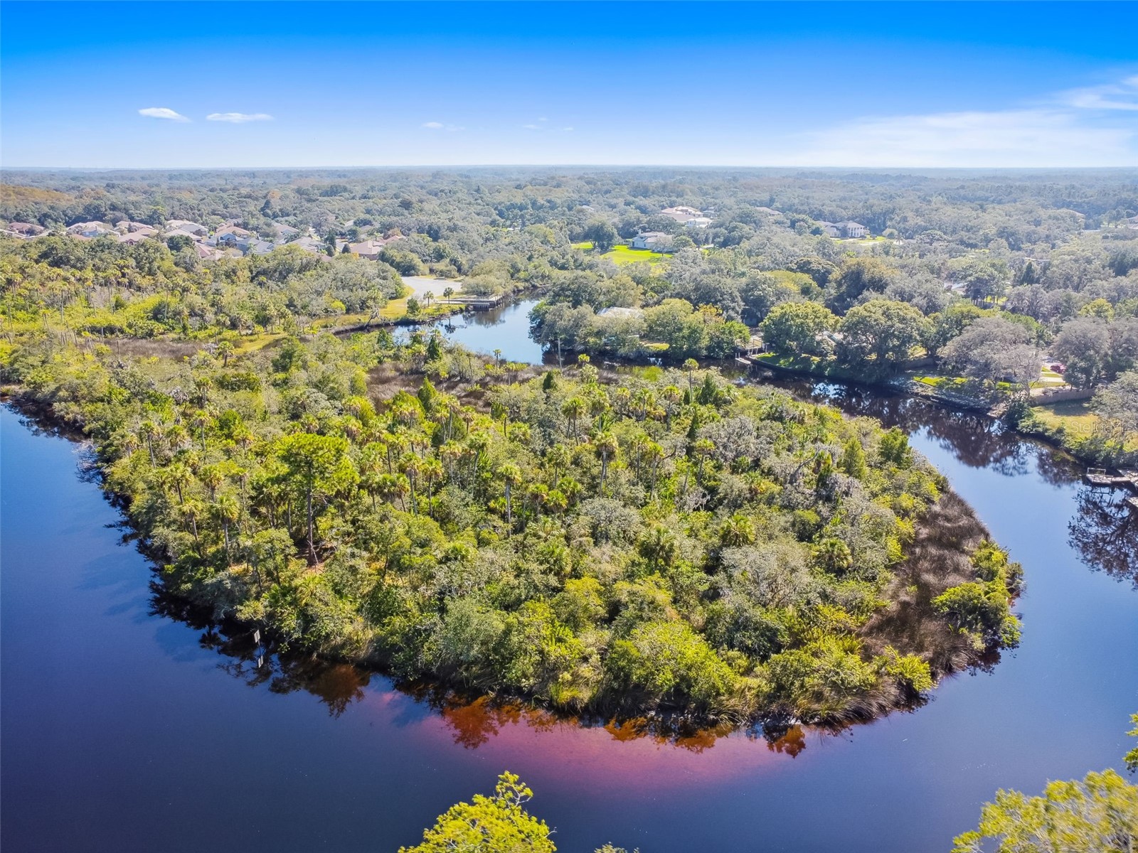 0 Japonica Court New Port Richey FL 34655 U8253219 image12