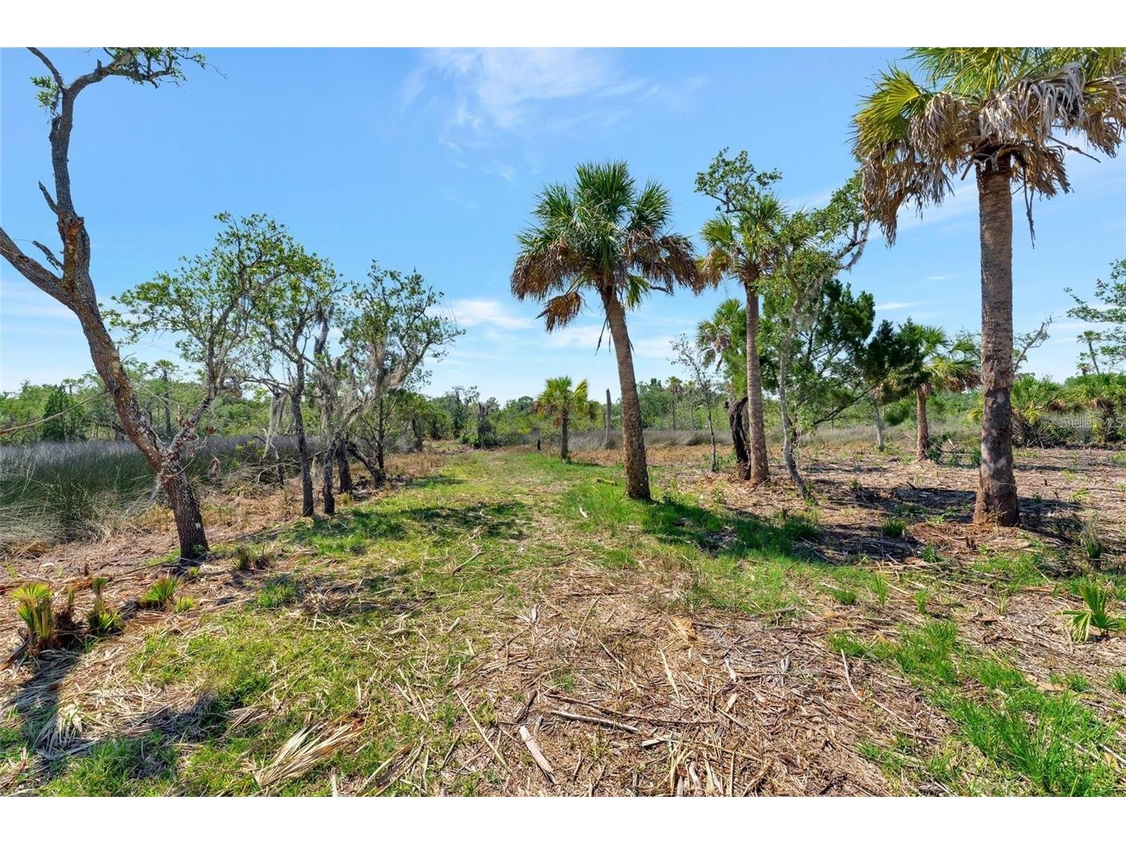 0 Japonica Court New Port Richey FL 34655 U8253219 image28