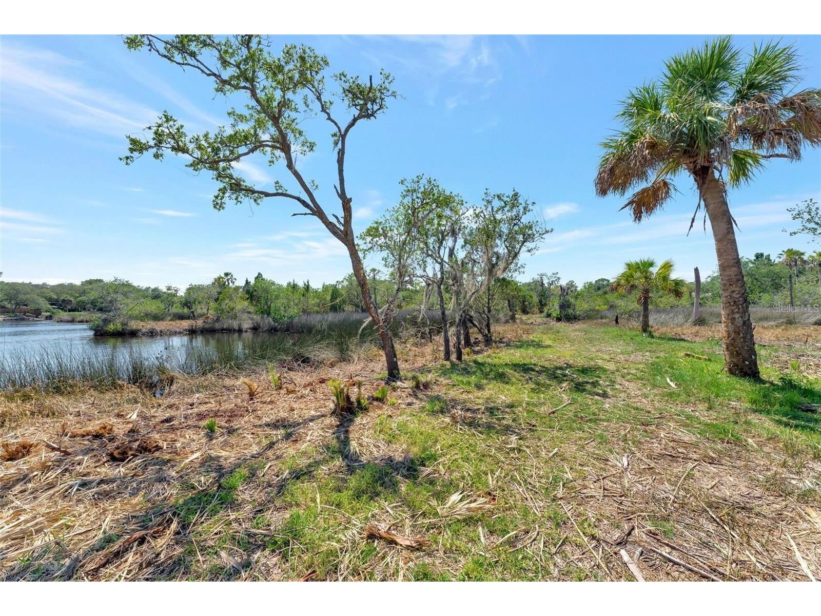 0 Japonica Court New Port Richey FL 34655 U8253219 image29