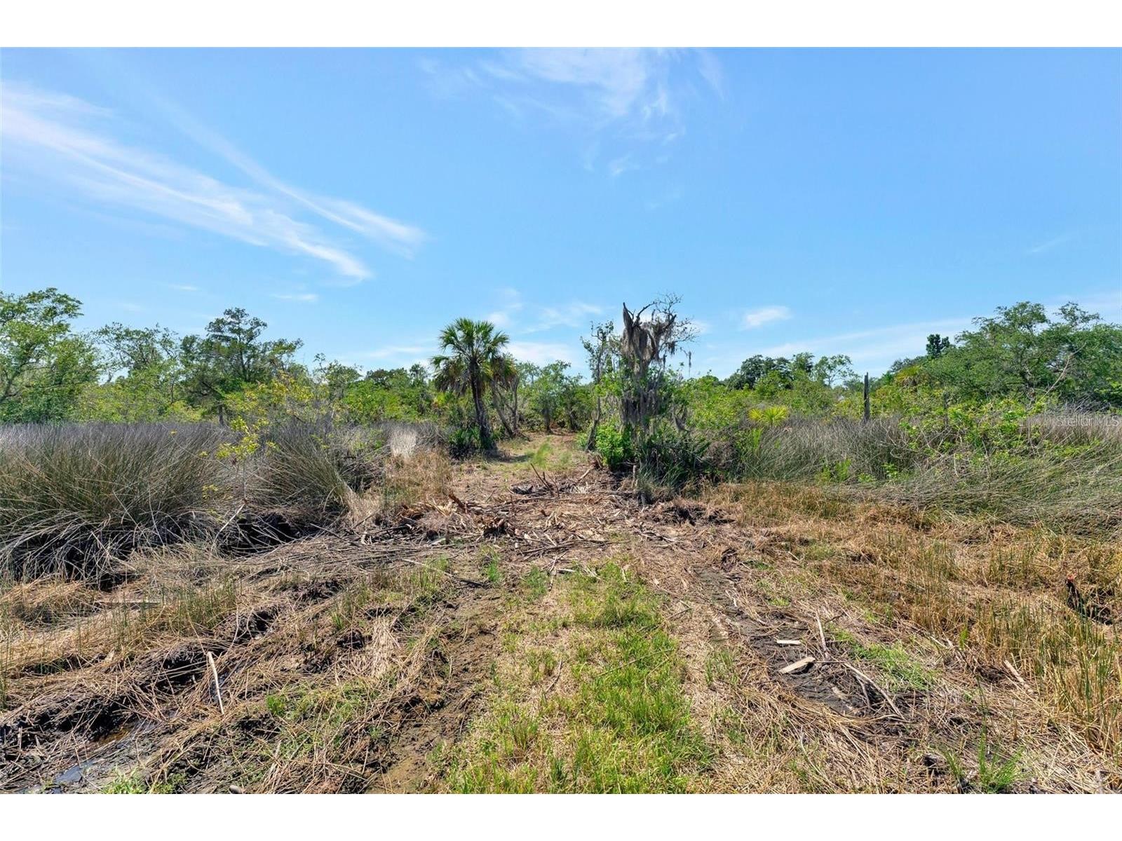 0 Japonica Court New Port Richey FL 34655 U8253219 image31