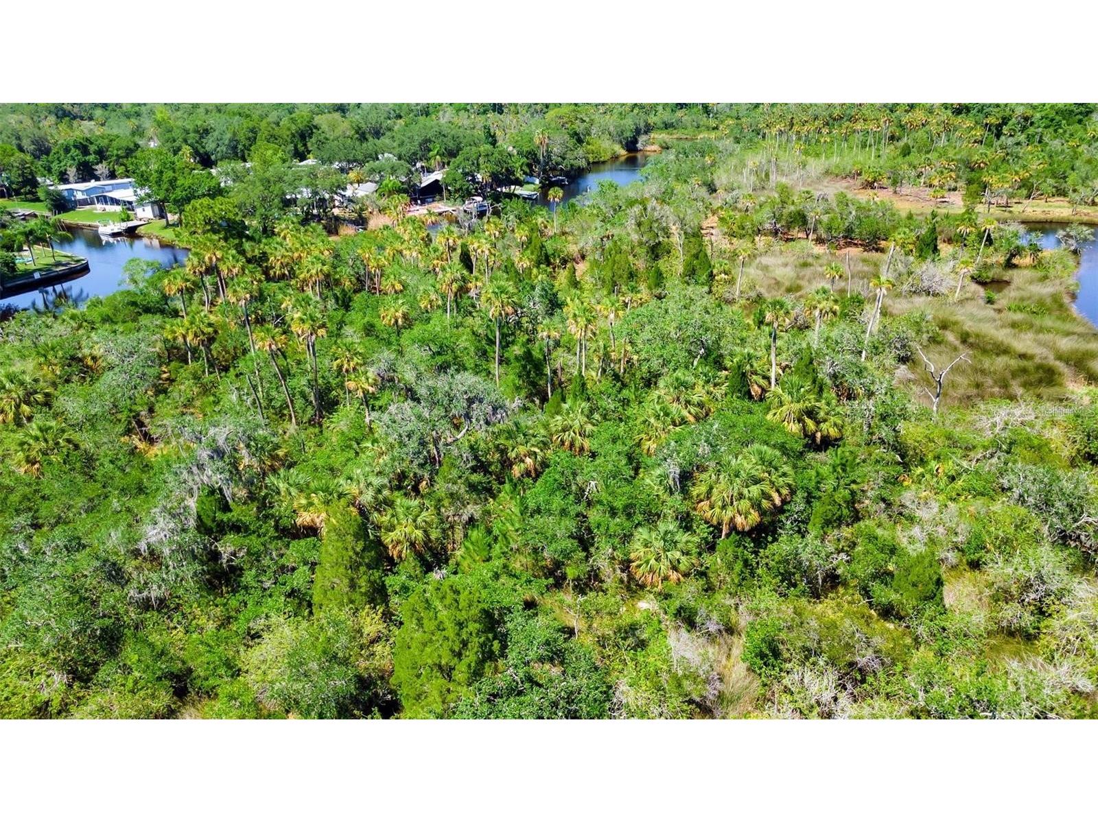 0 Japonica Court New Port Richey FL 34655 U8253219 image32