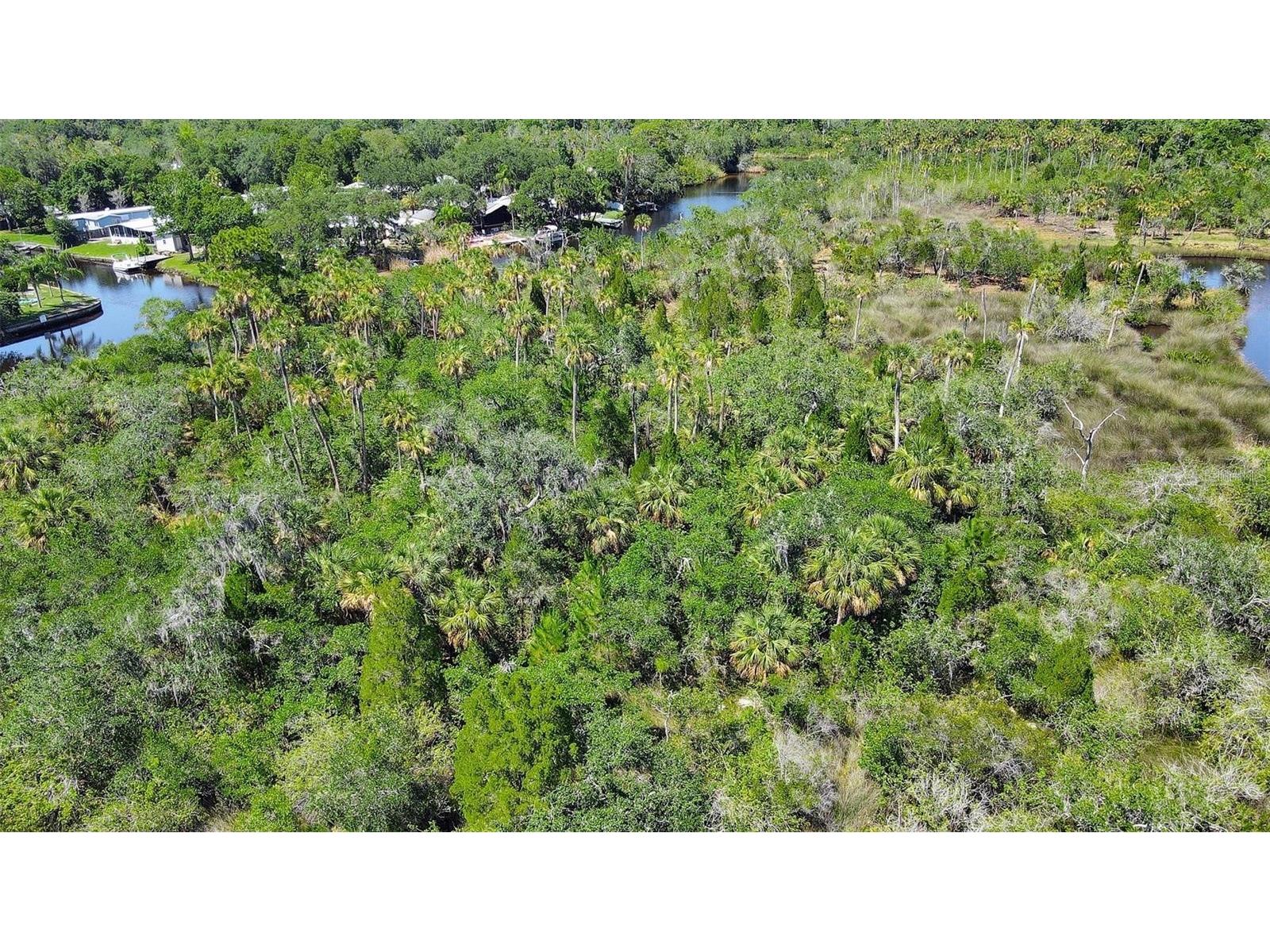 0 Japonica Court New Port Richey FL 34655 U8253219 image33