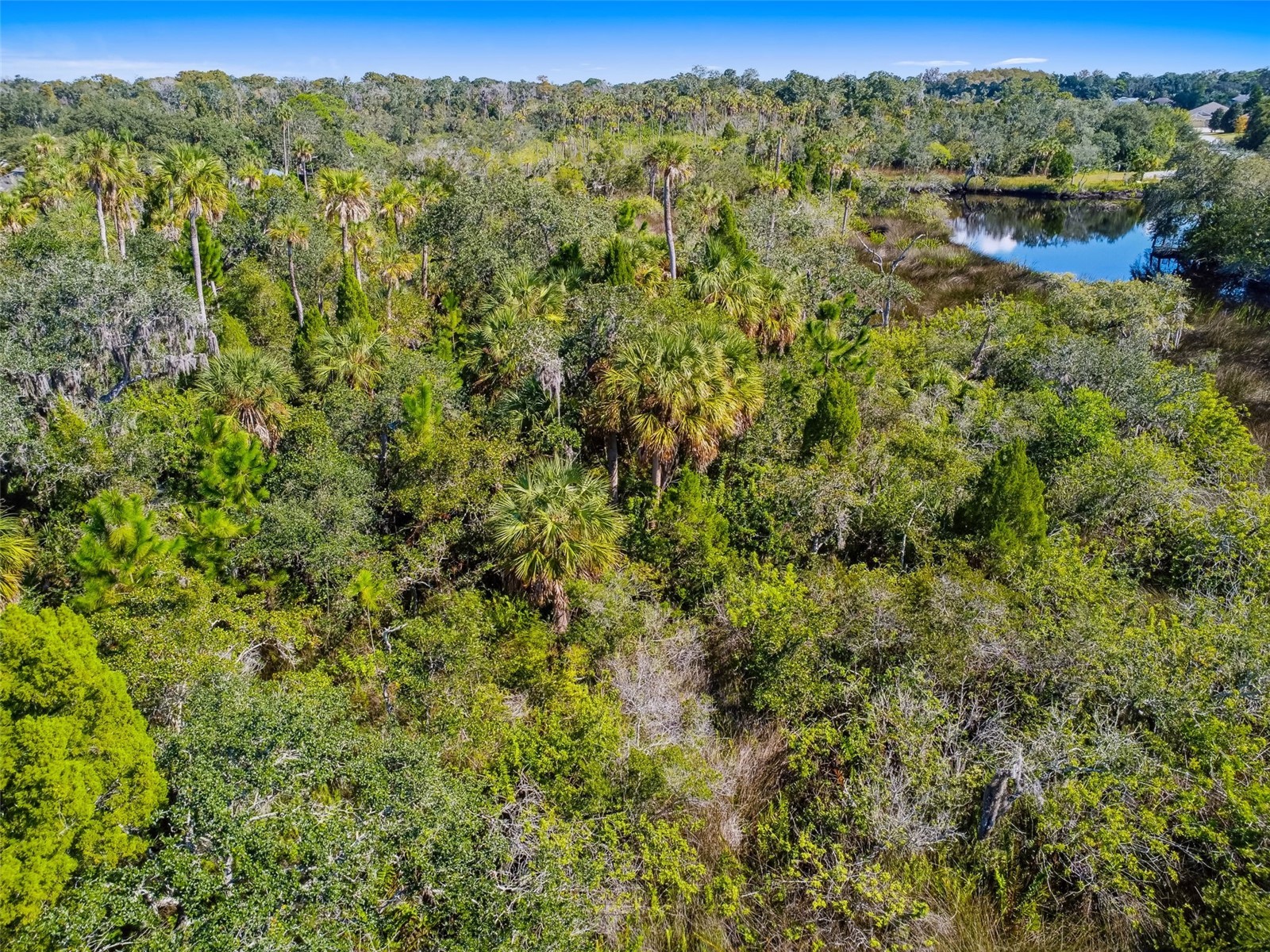 0 Japonica Court New Port Richey FL 34655 U8253219 image36