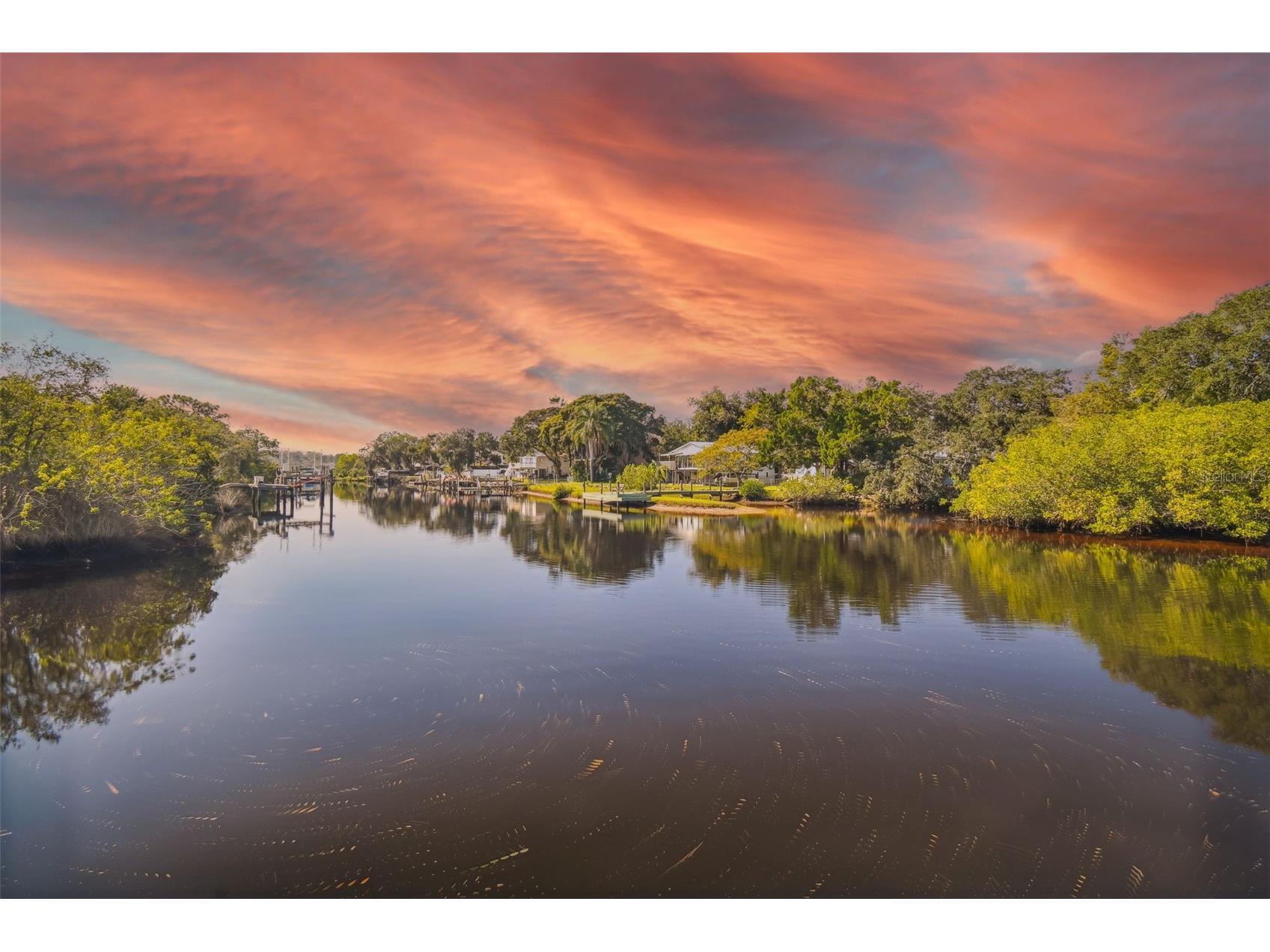 0 Japonica Court New Port Richey FL 34655 U8253219 image37