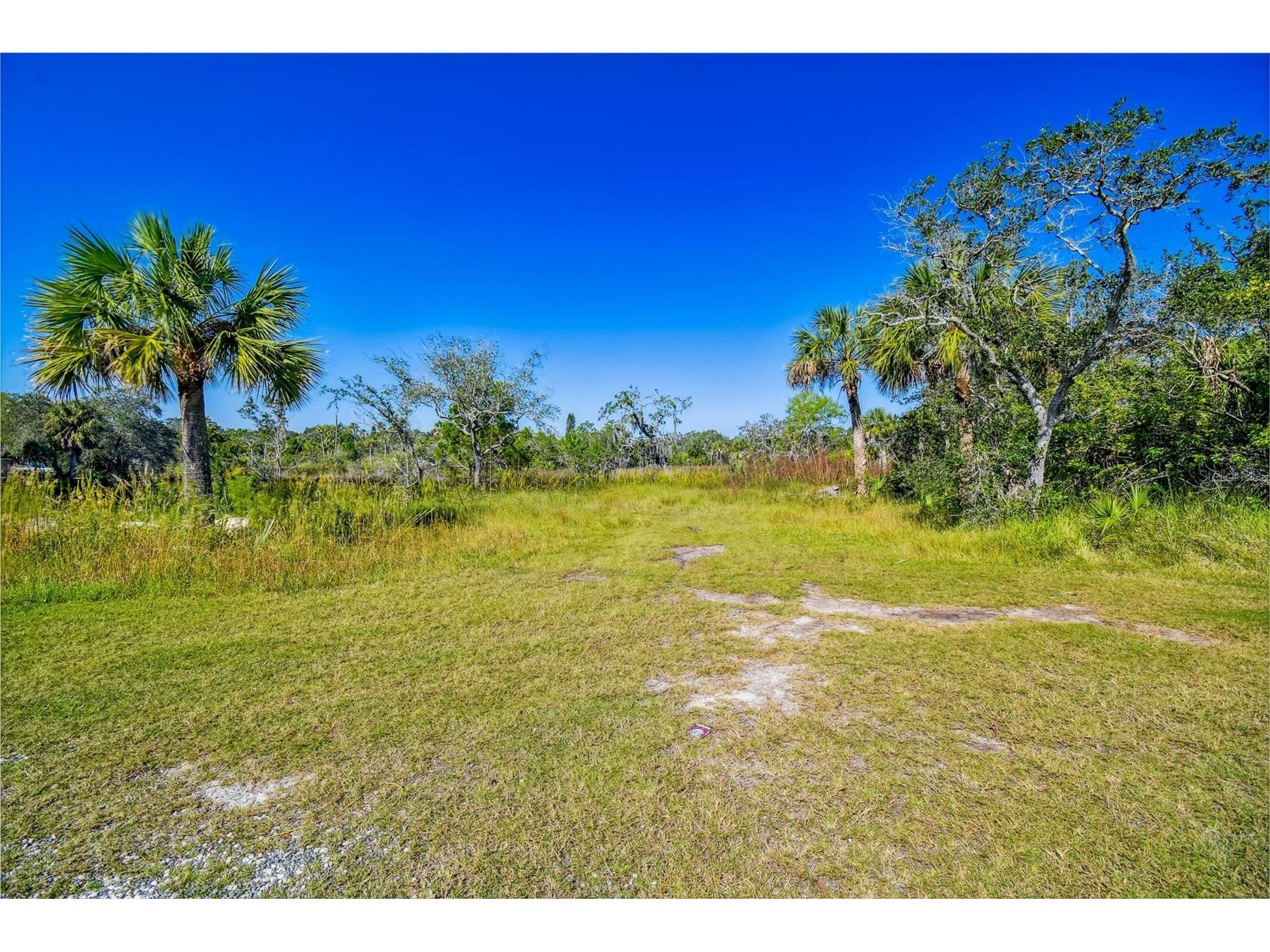 0 Japonica Court New Port Richey FL 34655 U8253219 image43