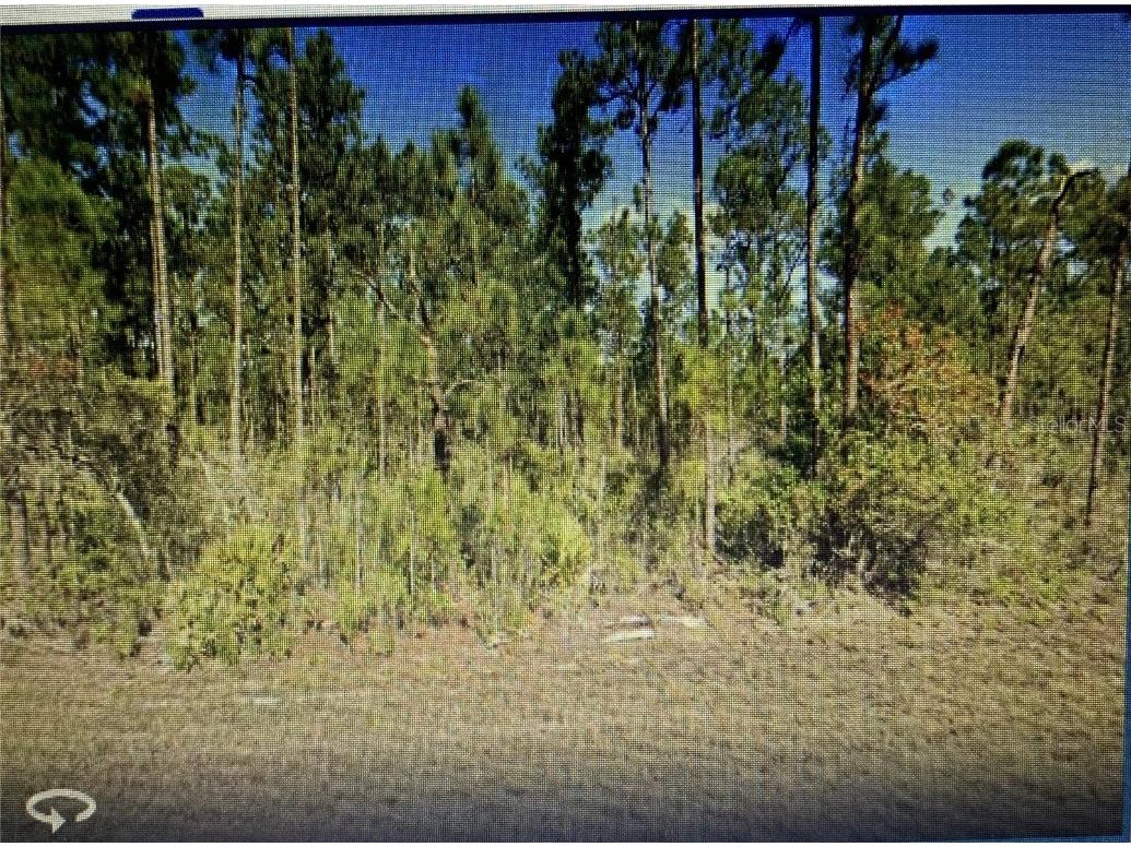 0 Japonica Drive Indian Lake Estates FL 33855 O6116123 image1
