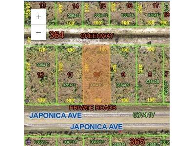 0 Japonica Drive Indian Lake Estates FL 33855 TB8402582 image1