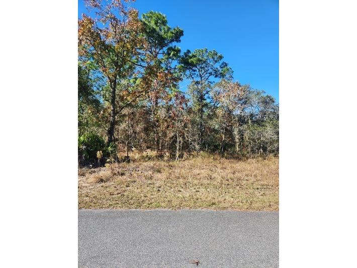 0 Jaywalk Road Weeki Wachee FL 34614 U8224619 image1