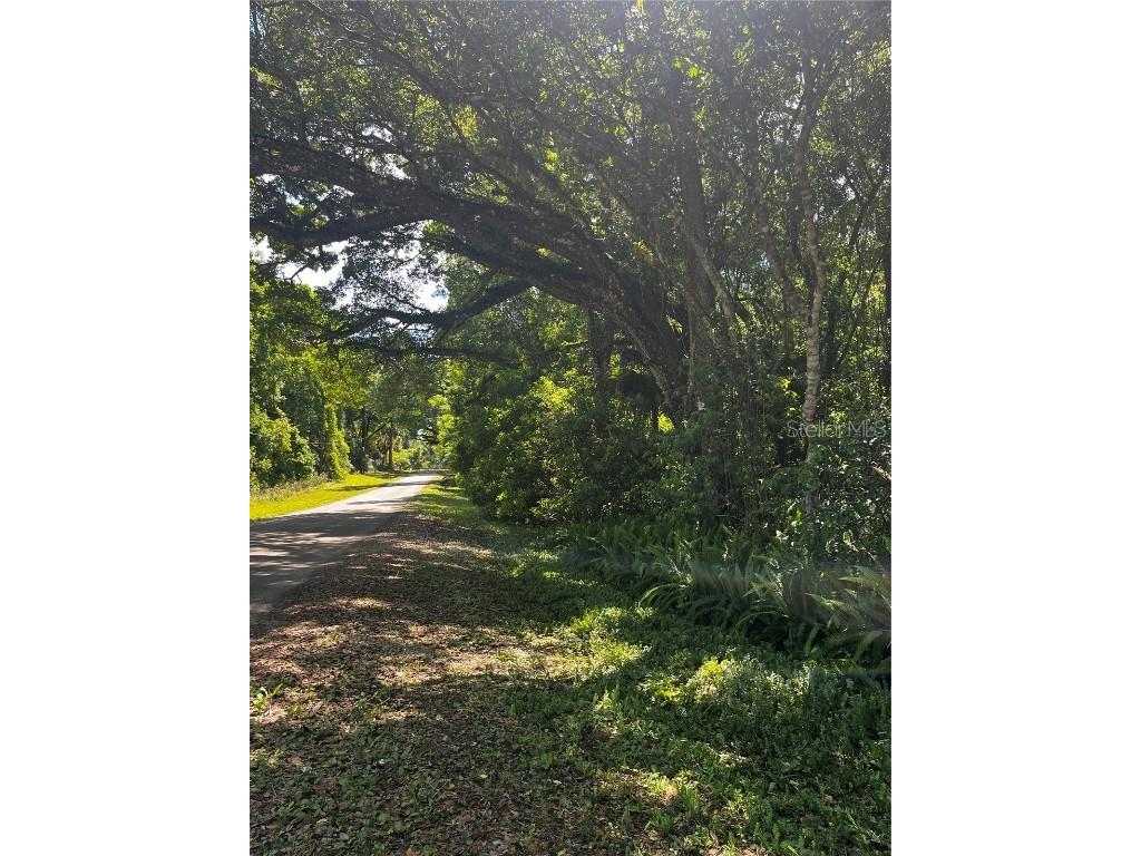 0 Jenkins Avenue Masaryktown FL 34604 TB8346245 image1