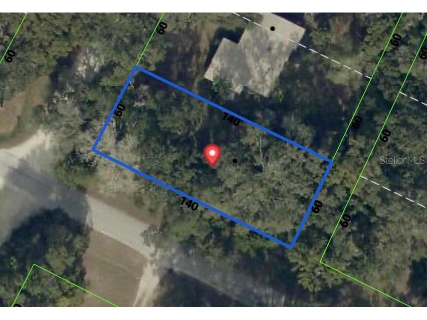 0 Jenkins Avenue Masaryktown FL 34604 TB8528514 image1
