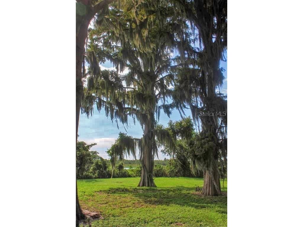 0 Jennings Fish Camp Road Lake Wales FL 33898 - LAKE PIERCE P4936019 image12