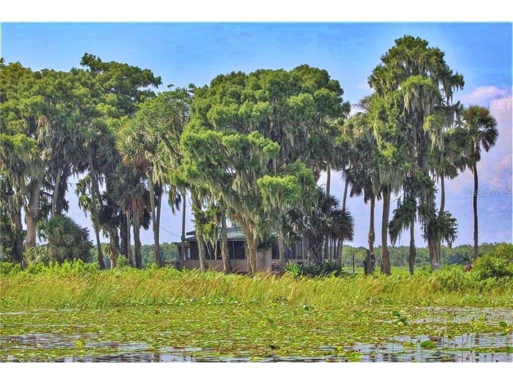 0 Jennings Fish Camp Road Lake Wales FL 33898 - LAKE PIERCE P4936019 image19