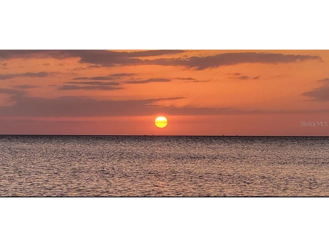 0 Jenny Way New Port Richey FL 34652 W7882176 image7