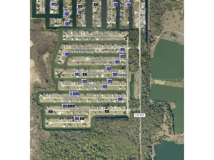 0 Jewfish Drive Hernando Beach FL 34607 W7887615 image5