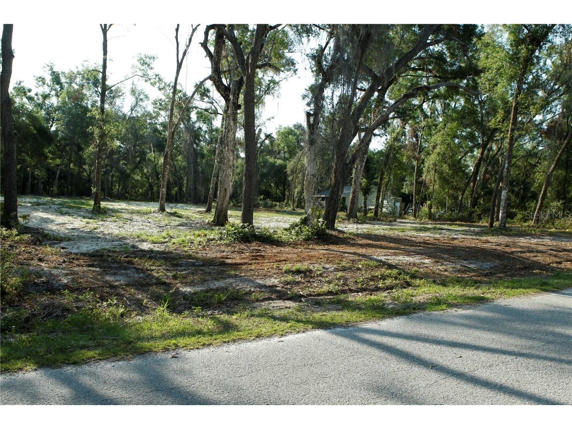 0 Juniper Avenue Webster FL 33597 TB8391456 image1