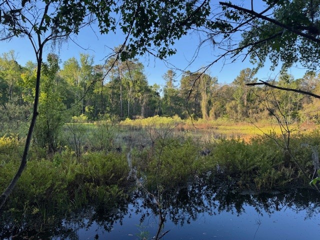0 Katie Wood Trail Brooksville FL 34602 W7873729 image1
