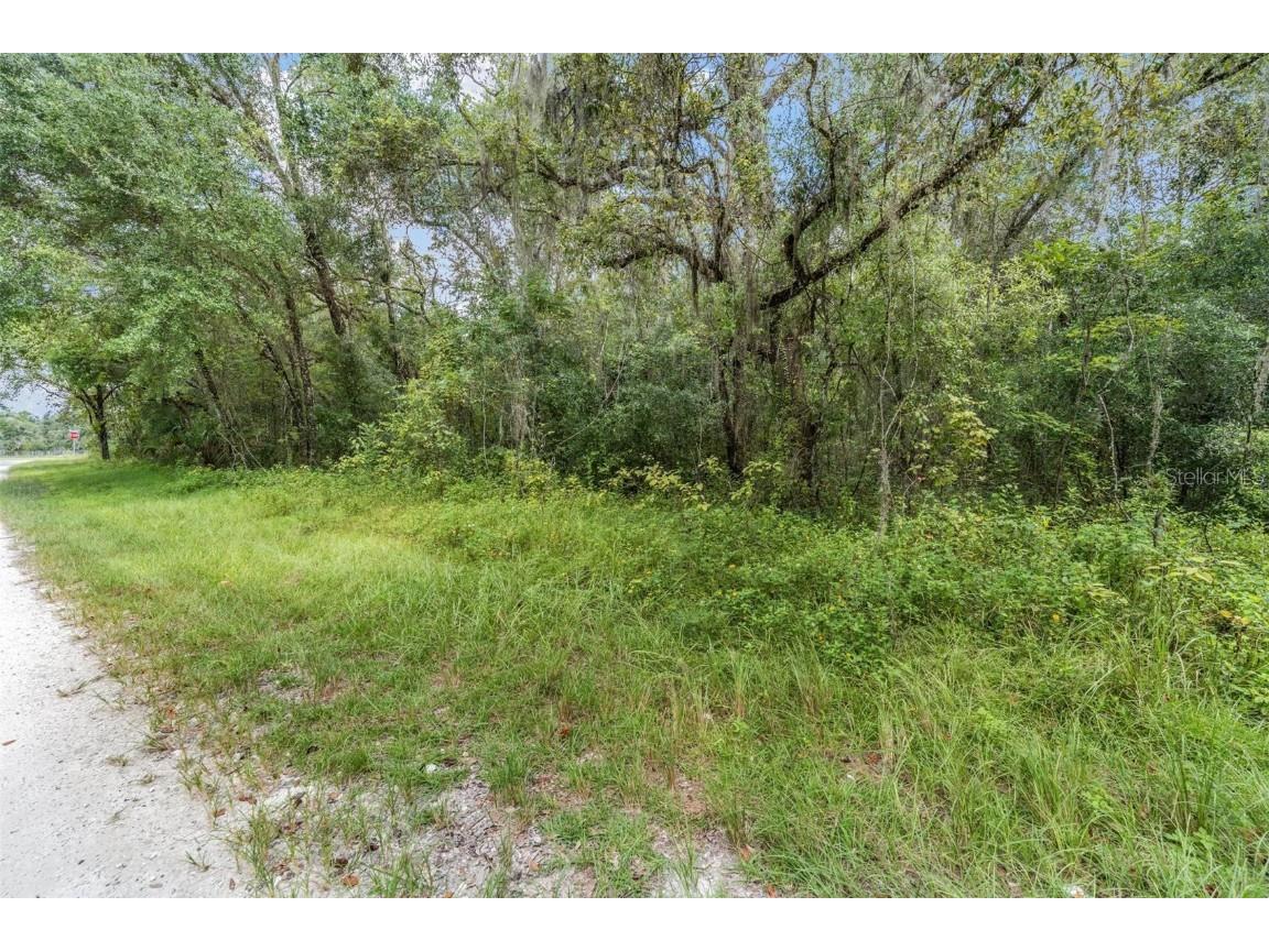 0 Kent Grove Drive Spring Hill FL 34610 TB8424464 image12