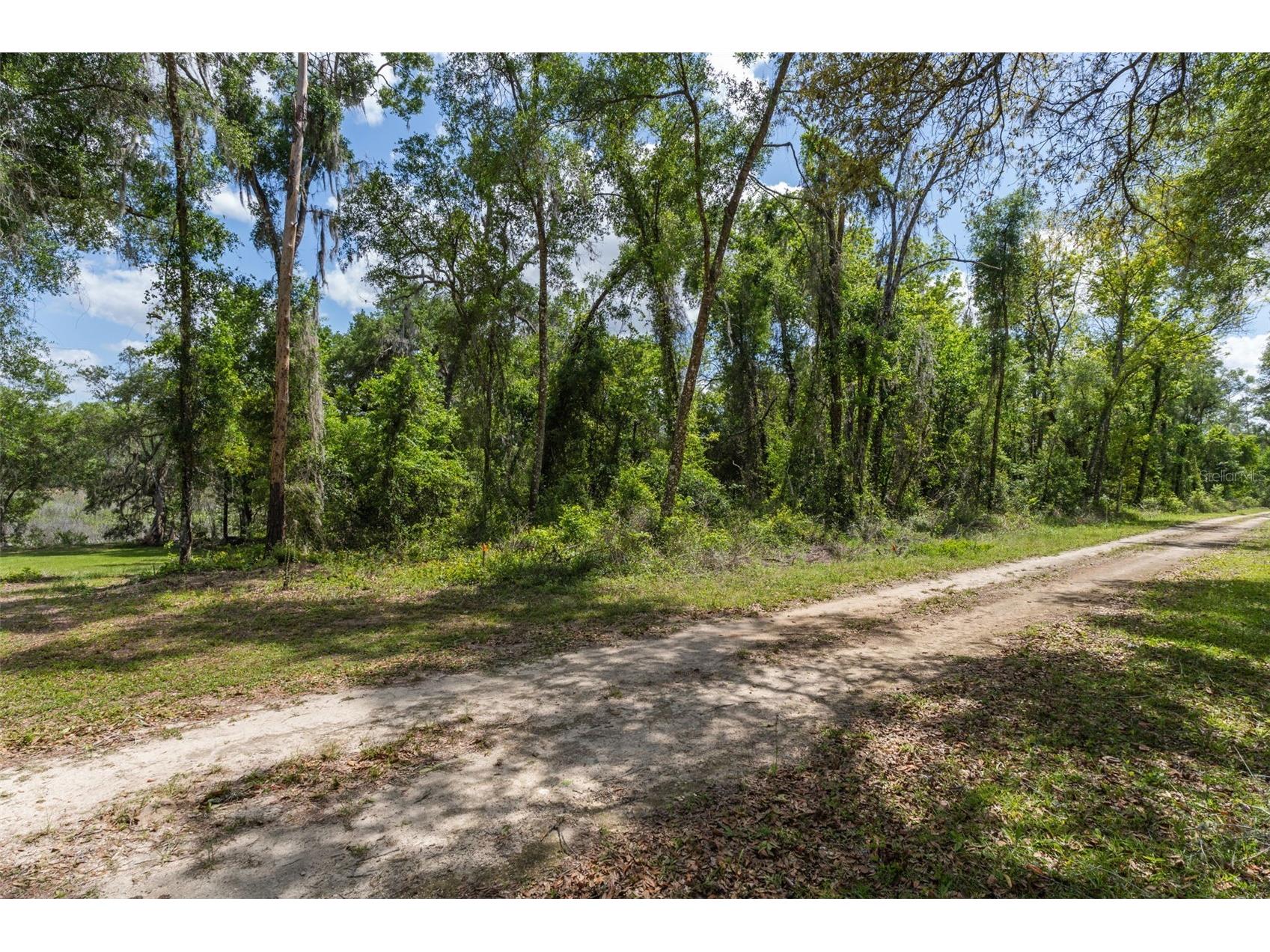 0 Kenyon Drive Webster FL 33597 W7884769 image1