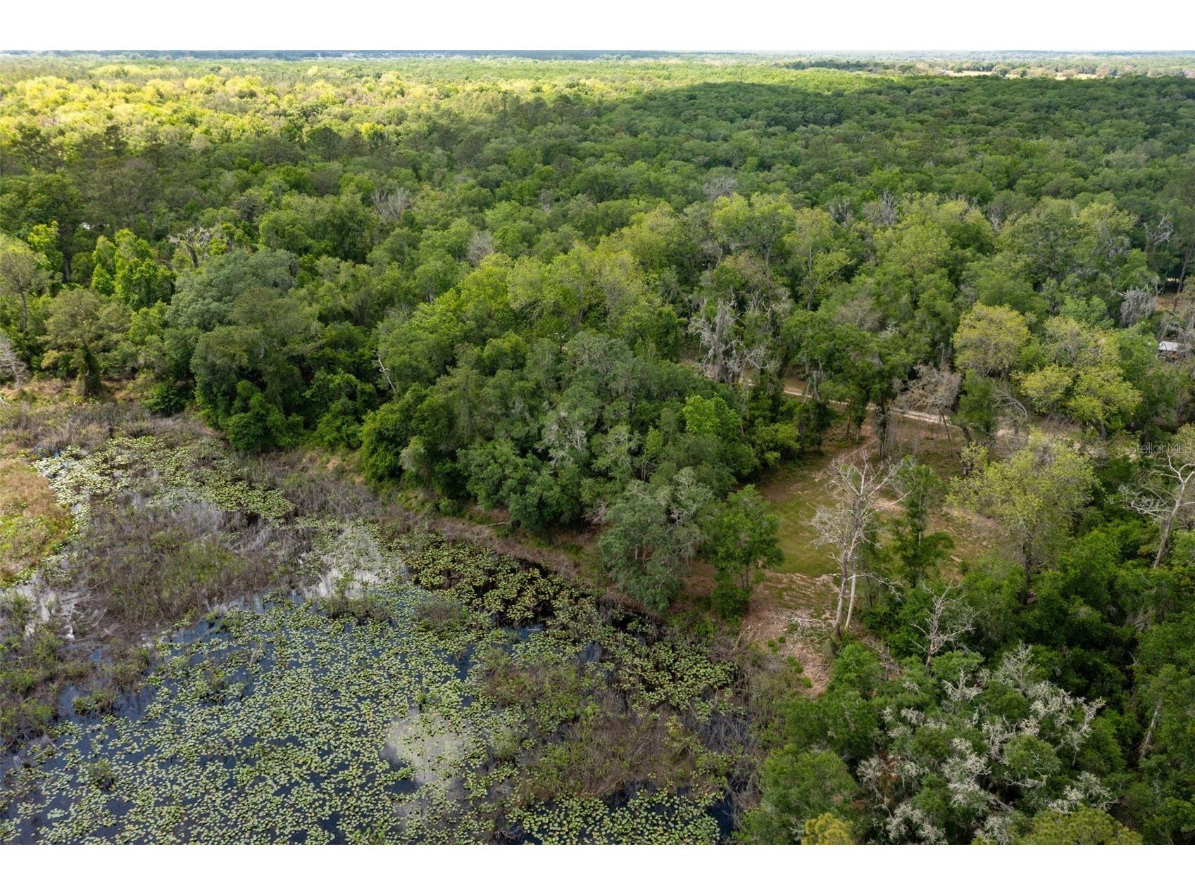 0 Kenyon Drive Webster FL 33597 W7884769 image10