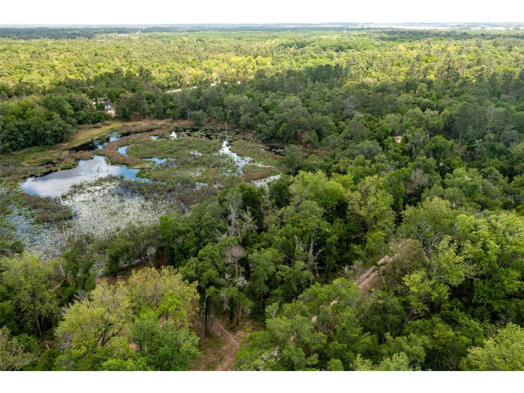 0 Kenyon Drive Webster FL 33597 W7884769 image12
