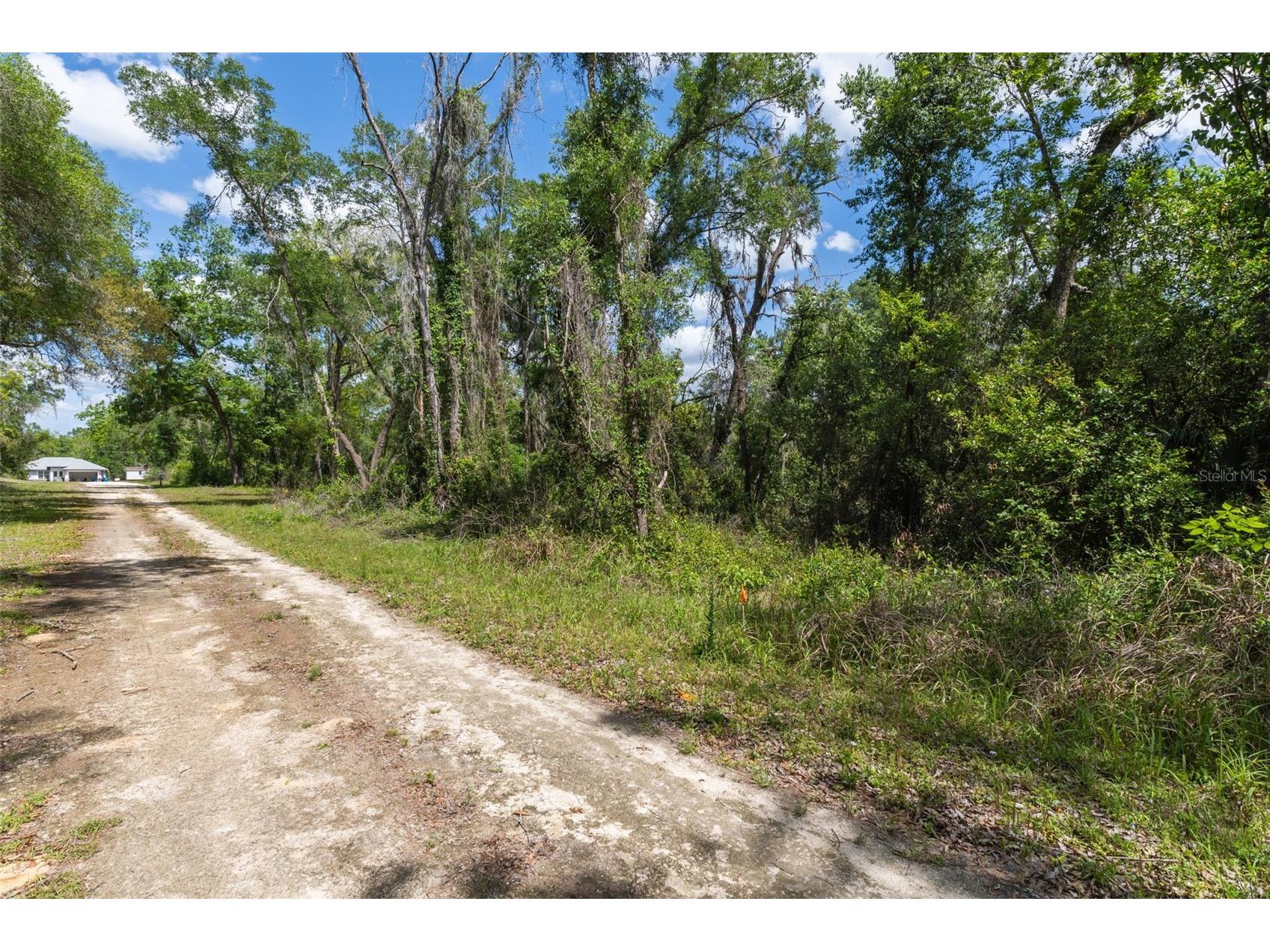 0 Kenyon Drive Webster FL 33597 W7884769 image2