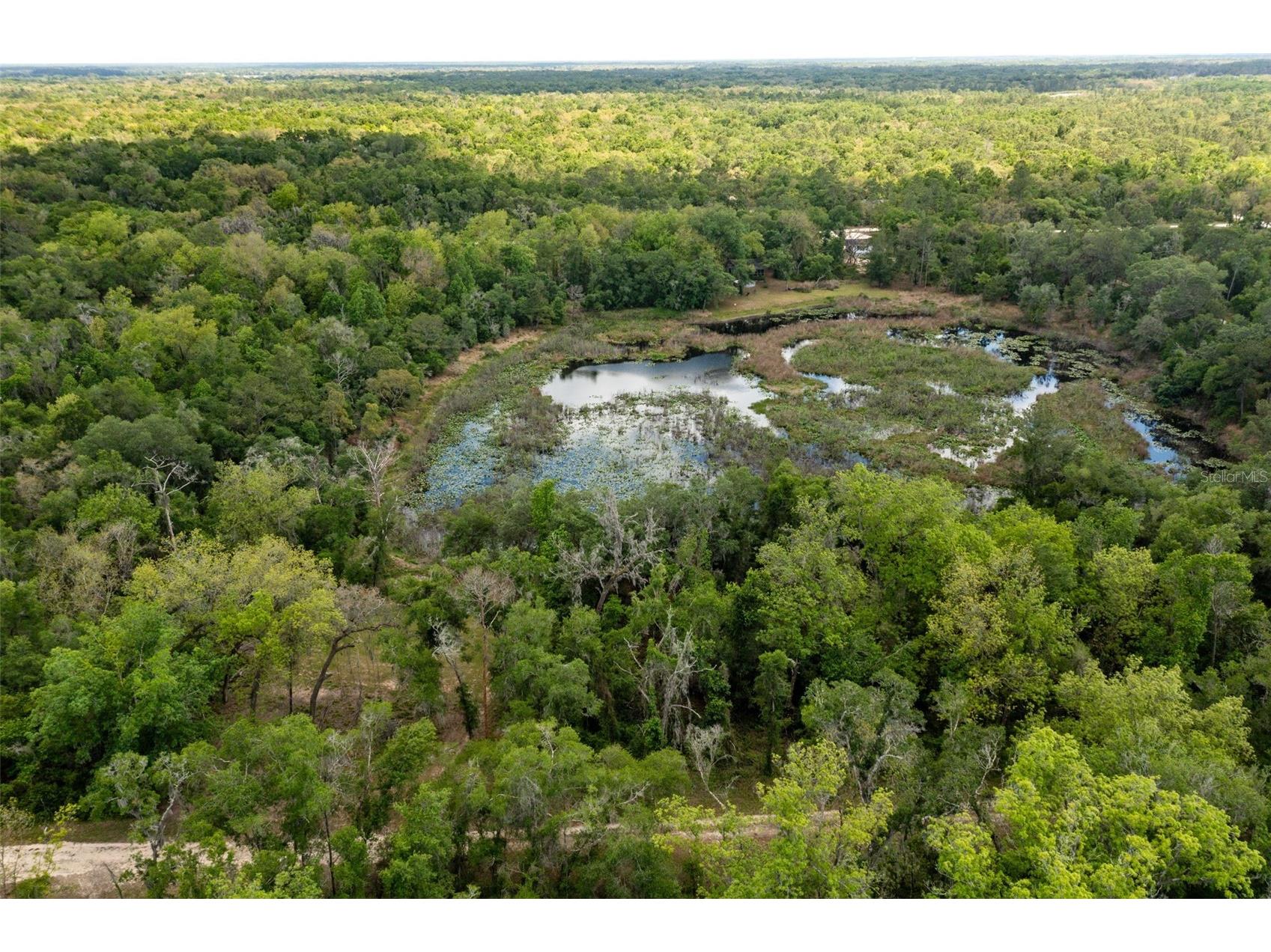 0 Kenyon Drive Webster FL 33597 W7884769 image3