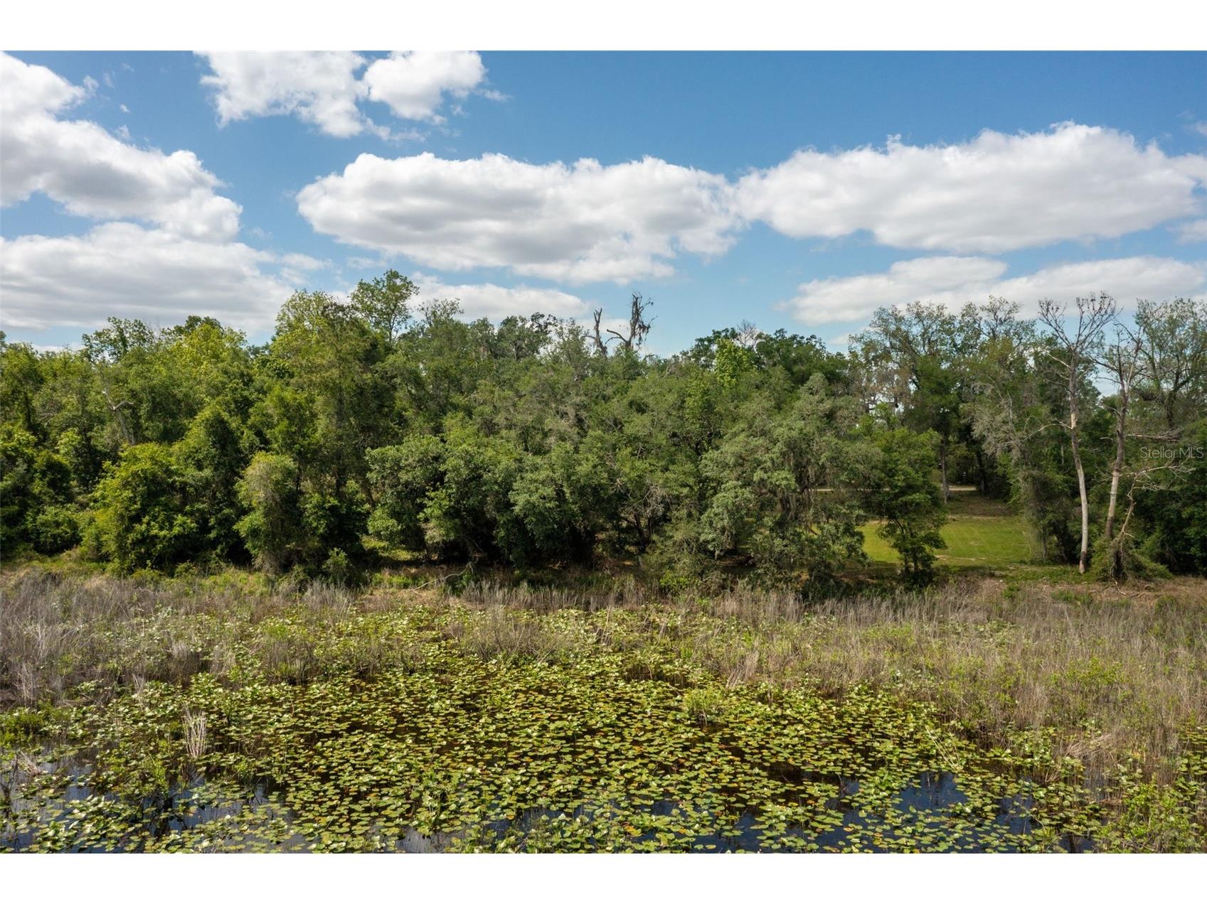 0 Kenyon Drive Webster FL 33597 W7884769 image4