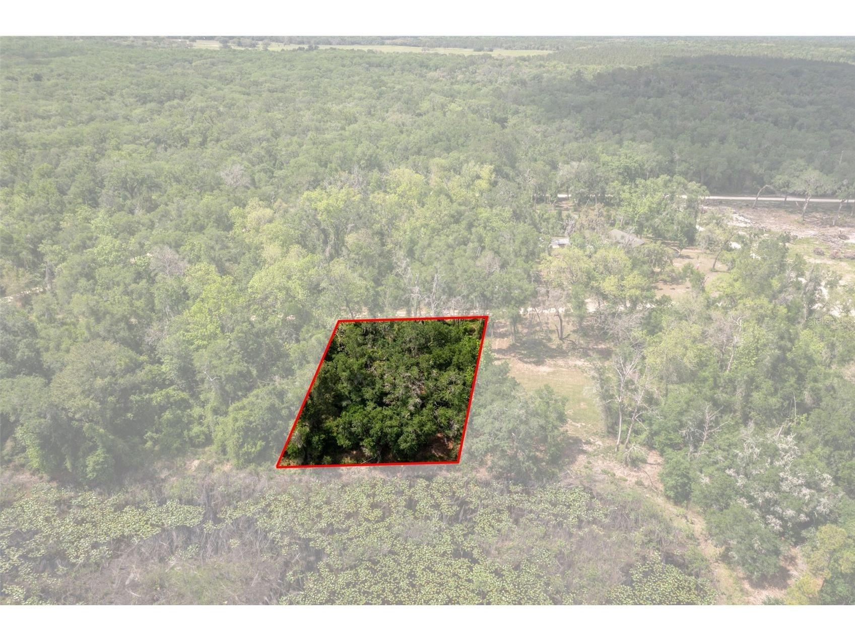 0 Kenyon Drive Webster FL 33597 W7884769 image6