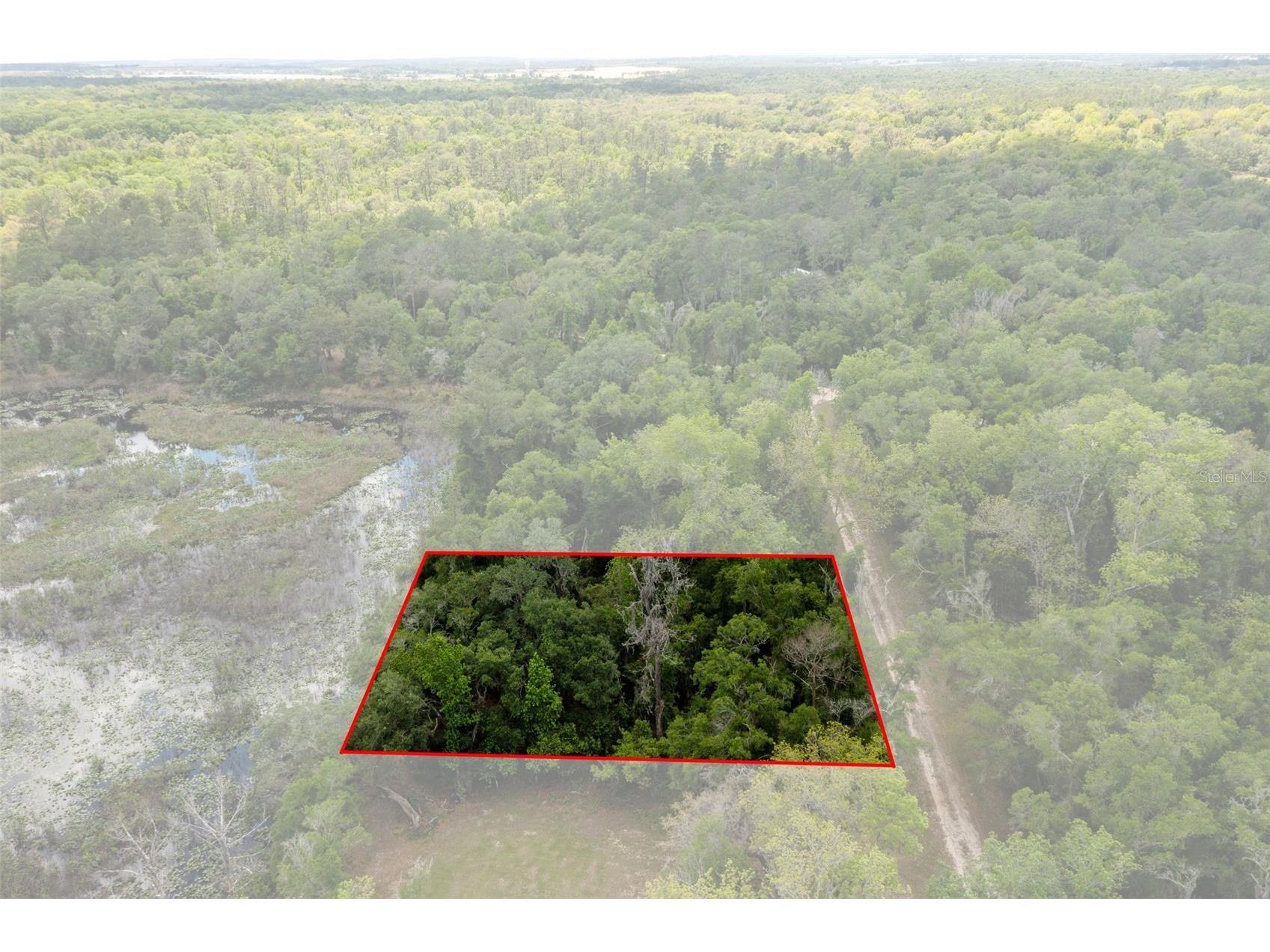 0 Kenyon Drive Webster FL 33597 W7884769 image7