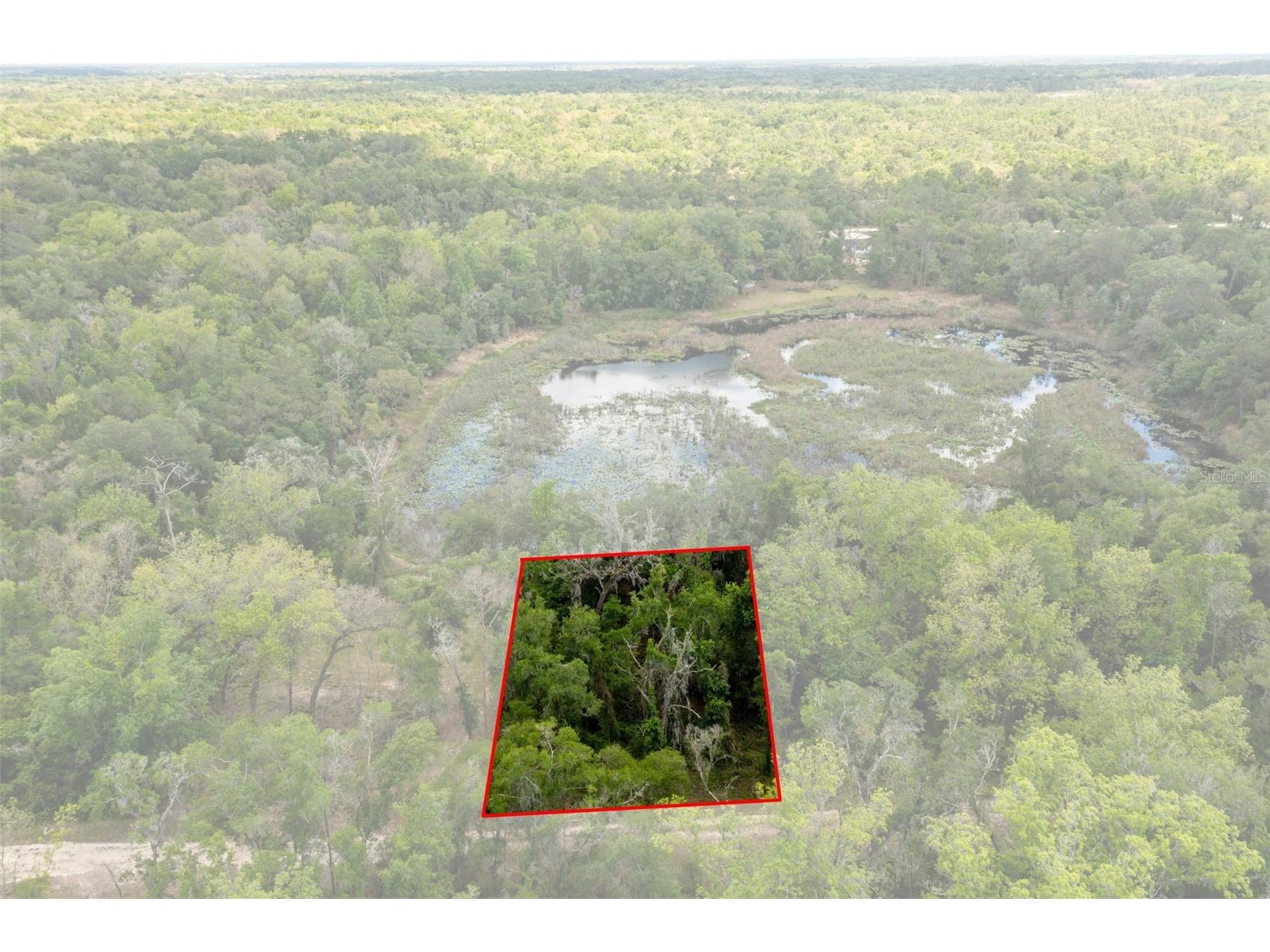 0 Kenyon Drive Webster FL 33597 W7884769 image8