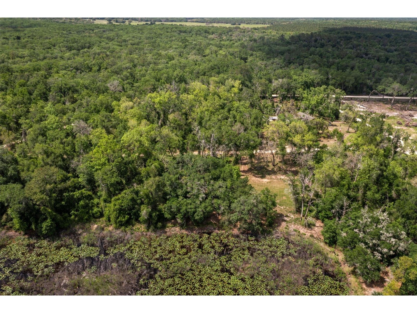 0 Kenyon Drive Webster FL 33597 W7884769 image9