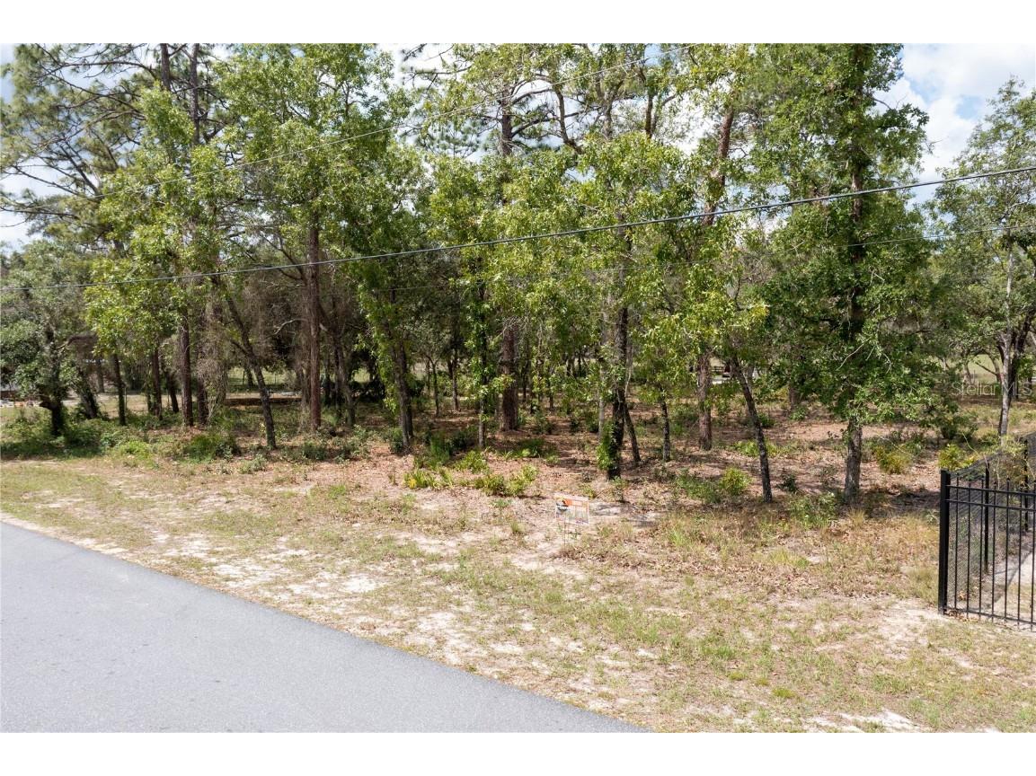 0 Kingsboro Road Weeki Wachee FL 34614 W7855232 image1