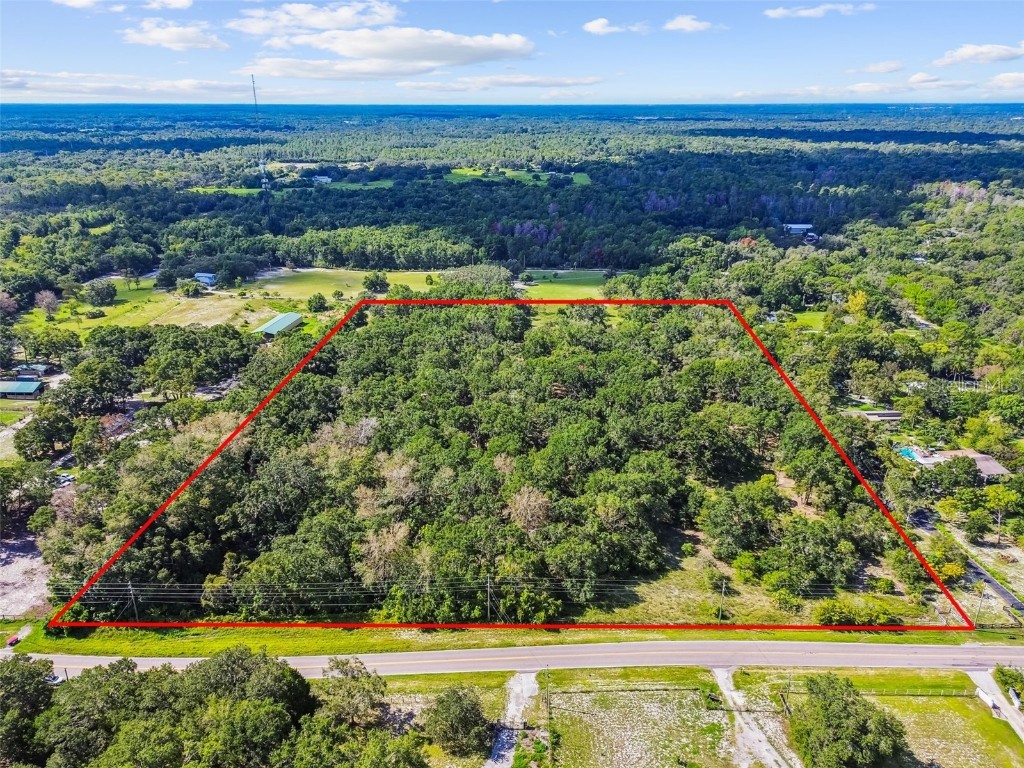 0 Kitten Trail Hudson FL 34669 TB8417953 image1