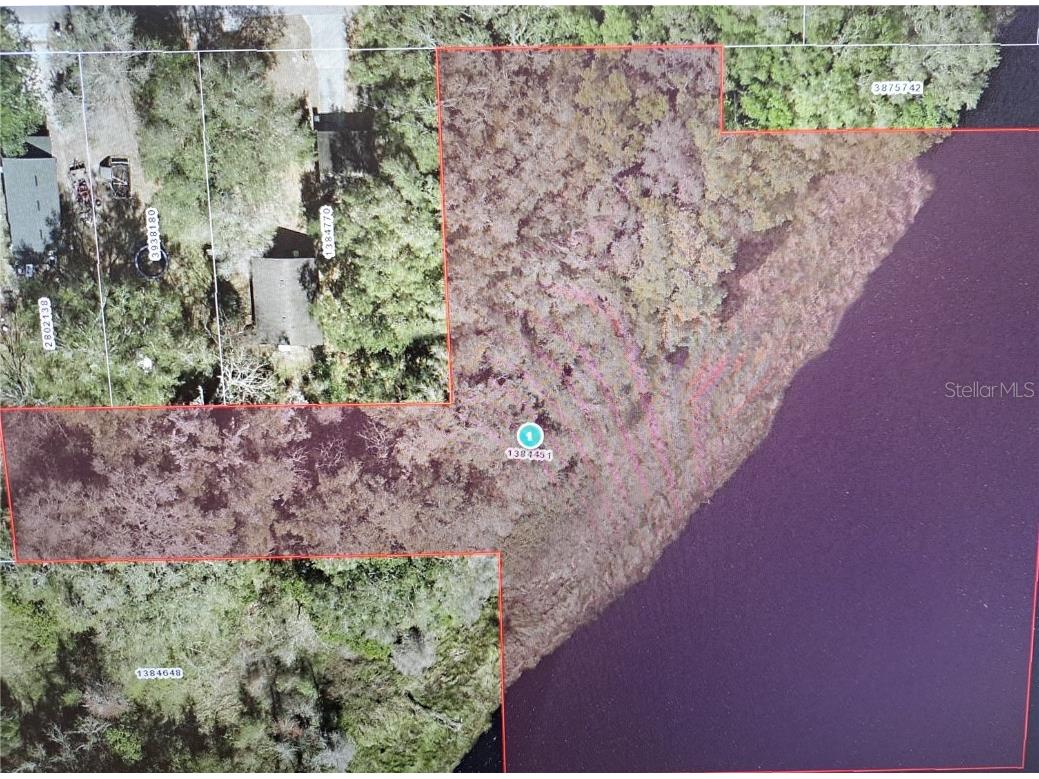 0 Knight Street Mascotte FL 34753 O6315616 image1