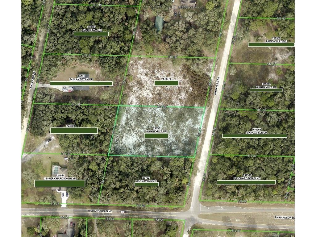 0 Knoxville Drive Webster FL 33597 TB8385805 image1