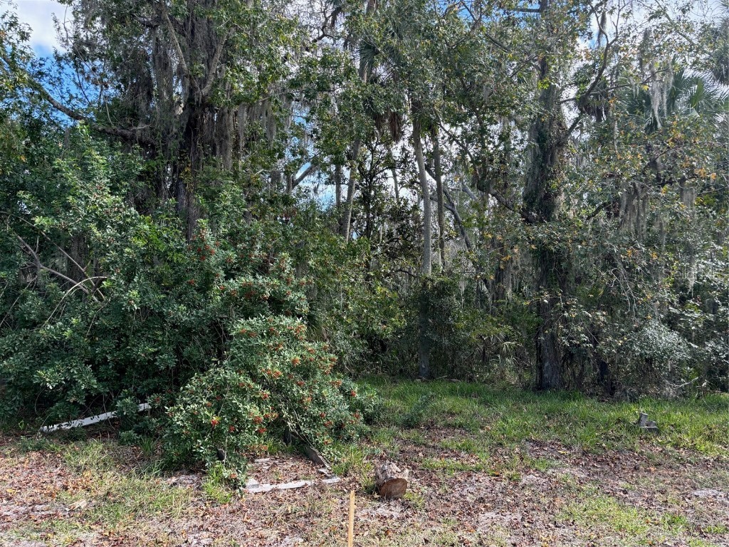 0 Kolb Place Hudson FL 34667 TB8318616 image2