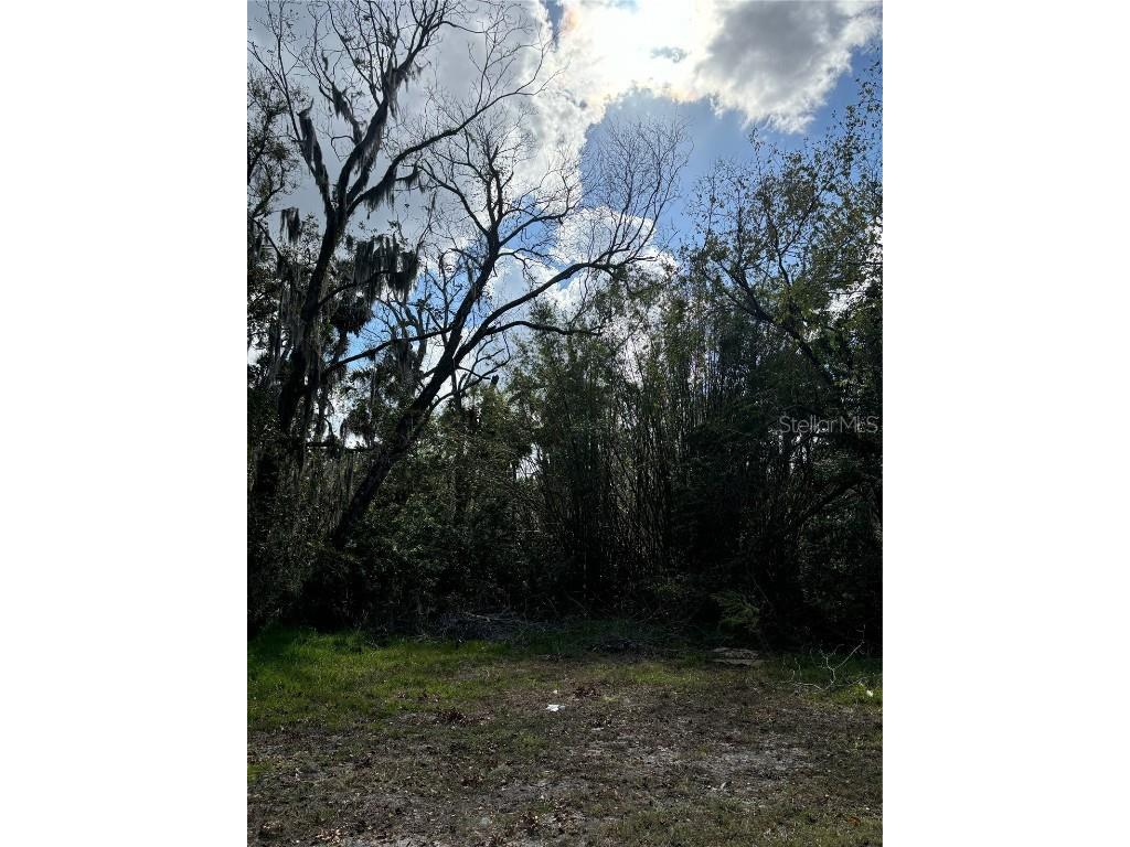 0 Kolb Place Hudson FL 34667 TB8318616 image4