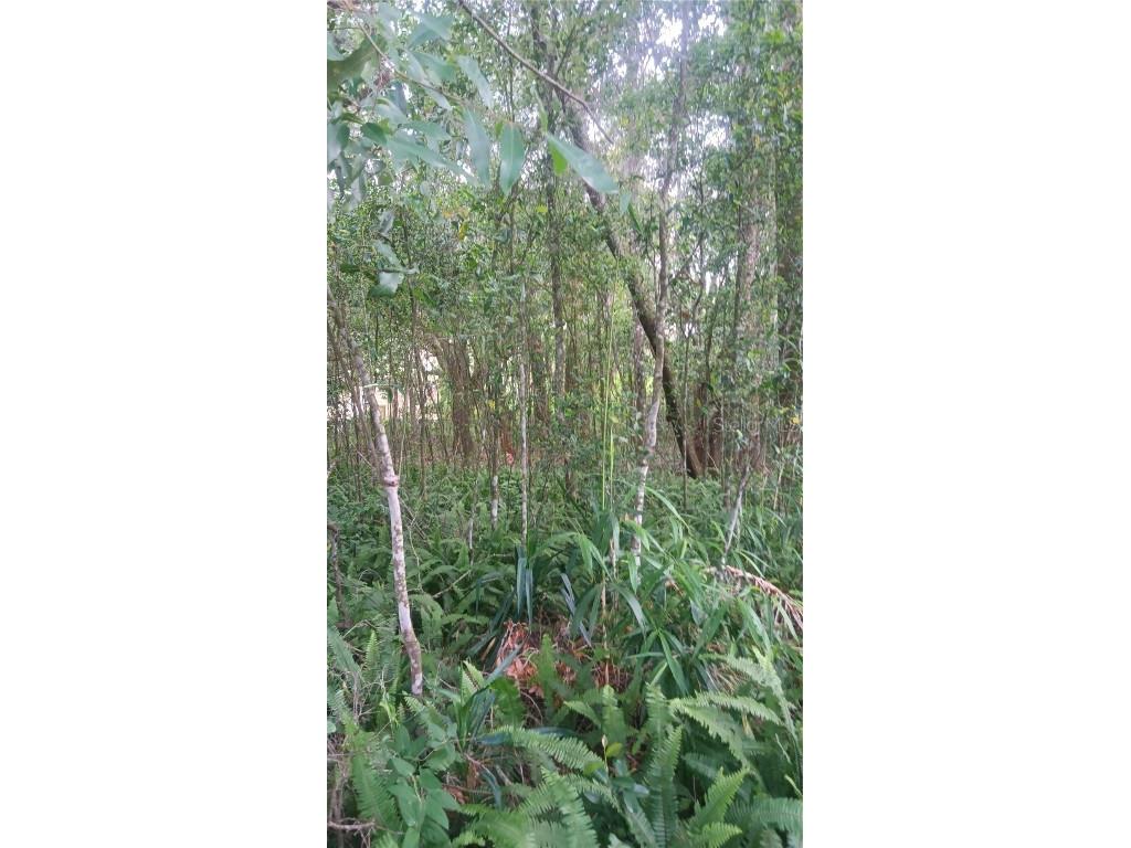 0 Korbus Road Brooksville FL 34604 W7855808 image1