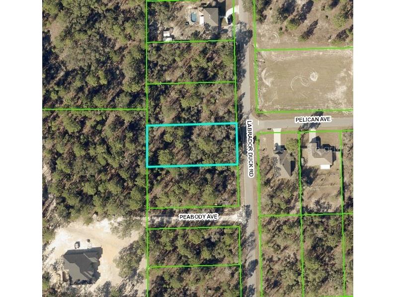 0 Labrador Duck Rd Lot 8 Weeki Wachee FL 34614 W7856365 image1