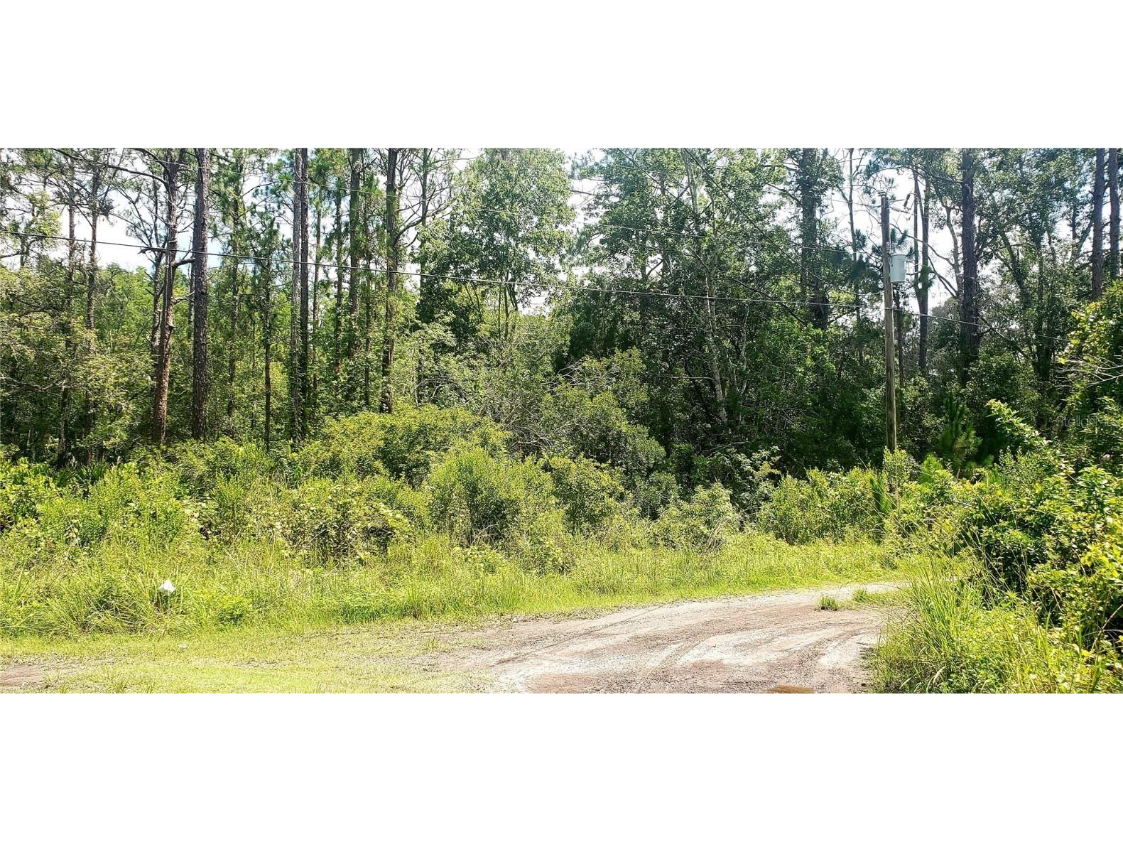 0 Ladd Avenue New Port Richey FL 34654 W7876691 image2