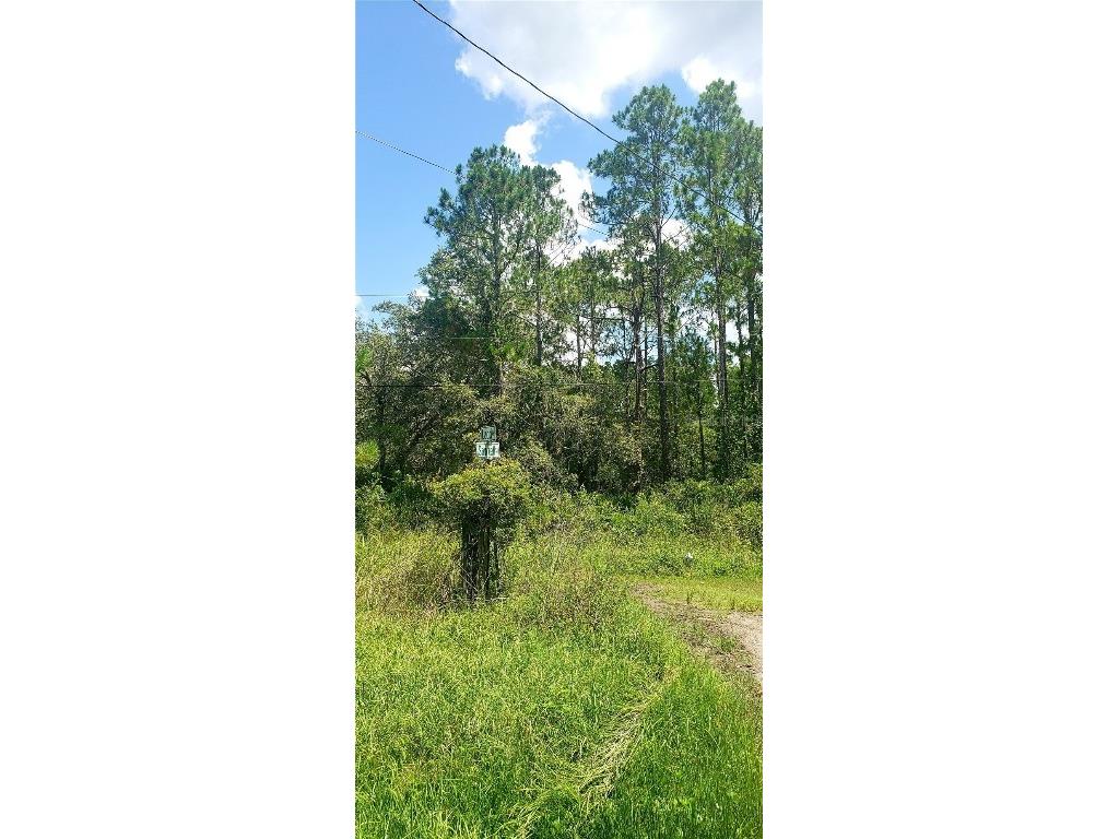 0 Ladd Avenue New Port Richey FL 34654 W7876691 image4